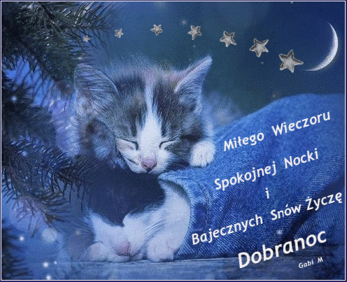 Dwa śpiące kotki miłego wieczoru